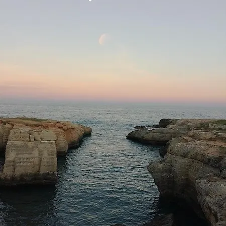 Taverniere Dei Trulli *